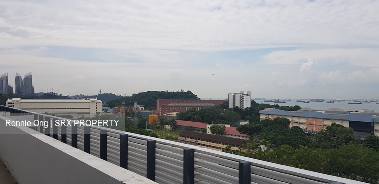 100 Pasir Panjang (D5), Factory #257712251